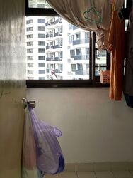 Blk 8 Farrer Gardens (Bukit Timah), HDB 3 Rooms #566072671